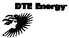 (DTE LOGO)